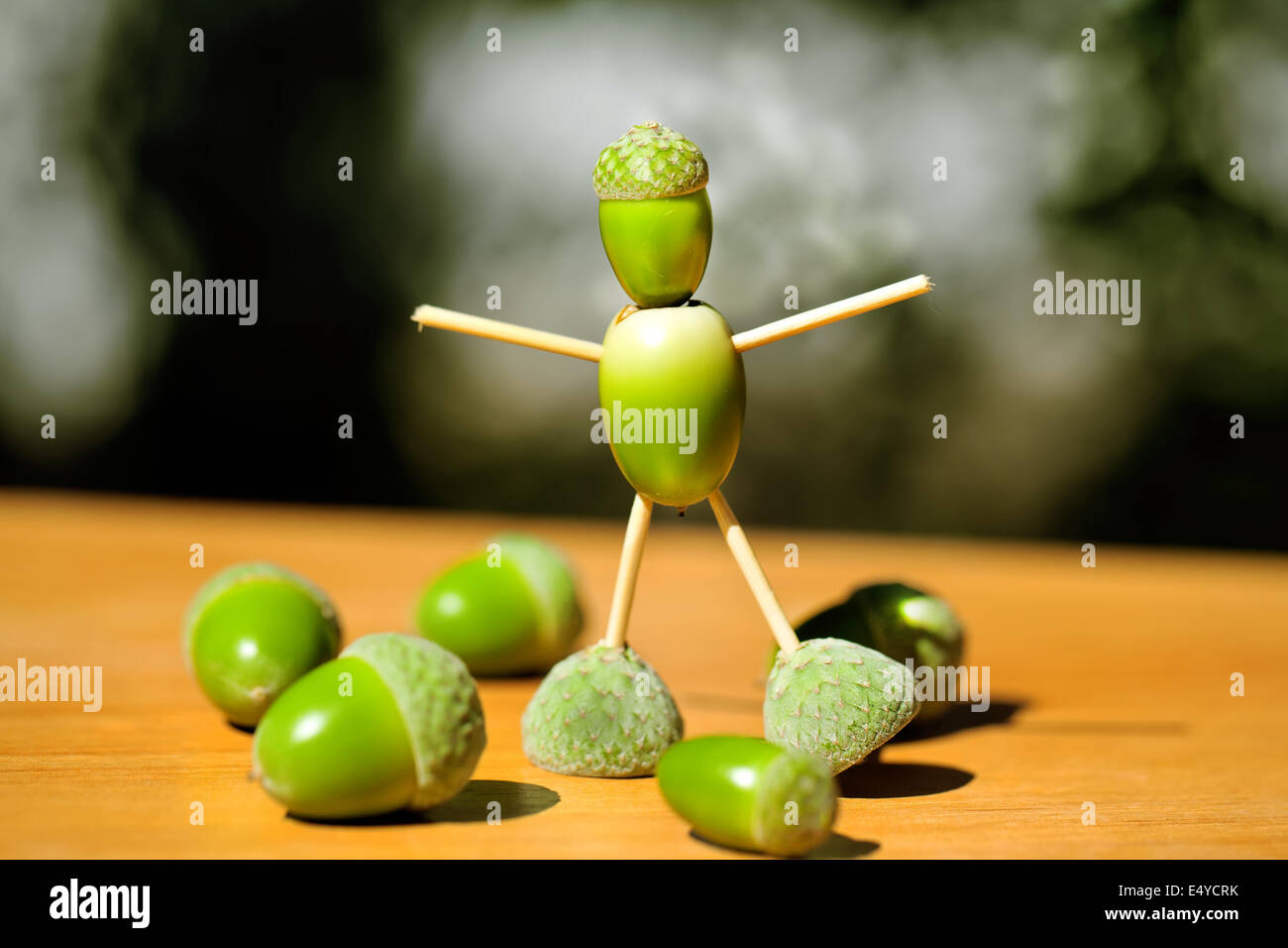 Little man made of green acorns Stock Photo