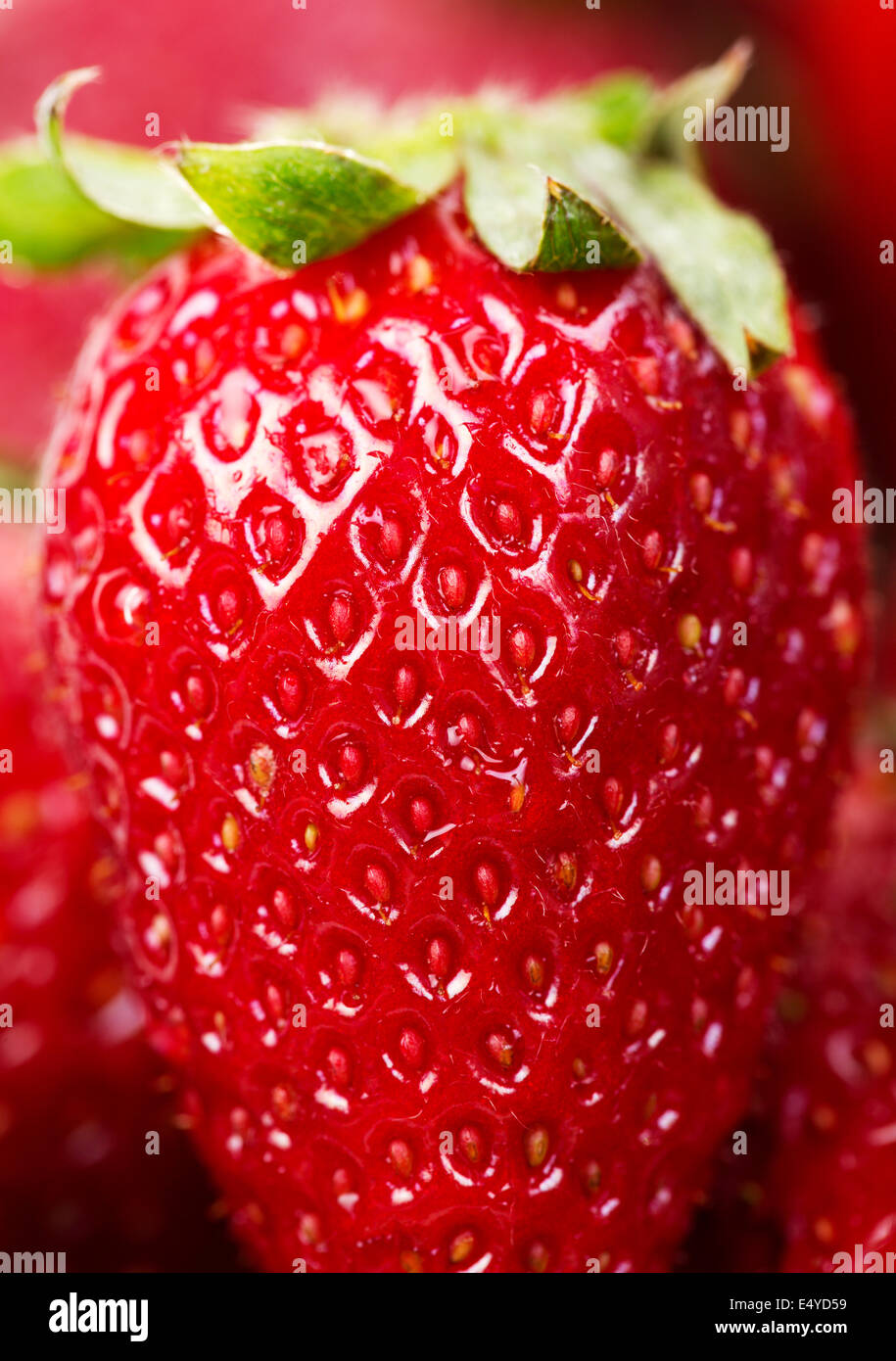 One berry strawberry Stock Photo - Alamy