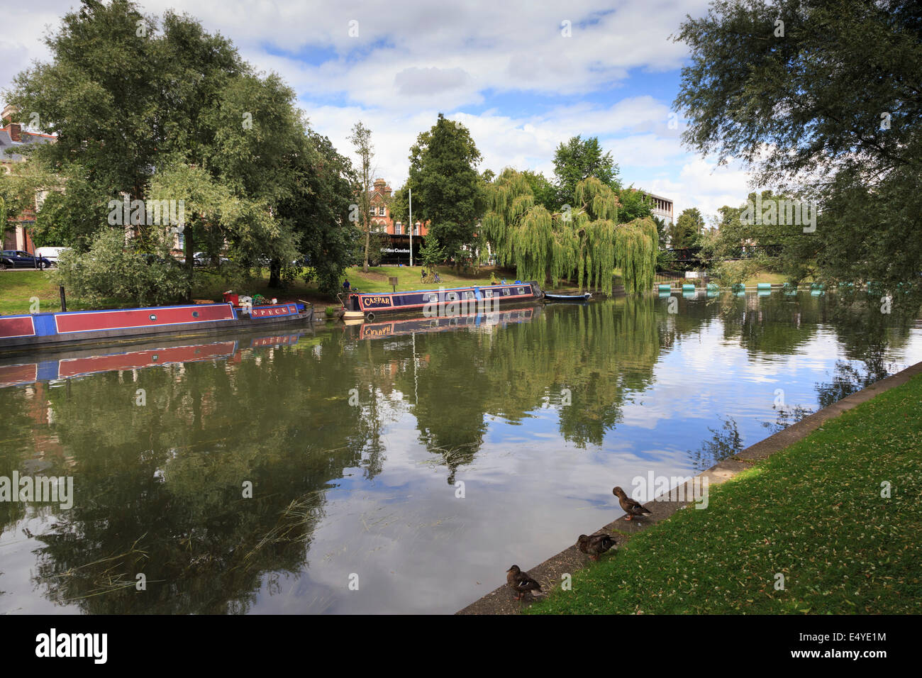 city of cambridge river cam england uk gb Stock Photo