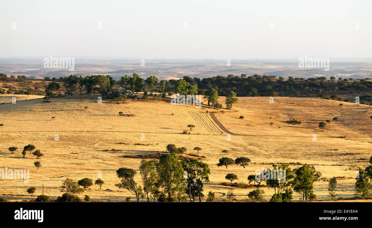 Rural landscape with grassland and trees Stock Photo - Alamy