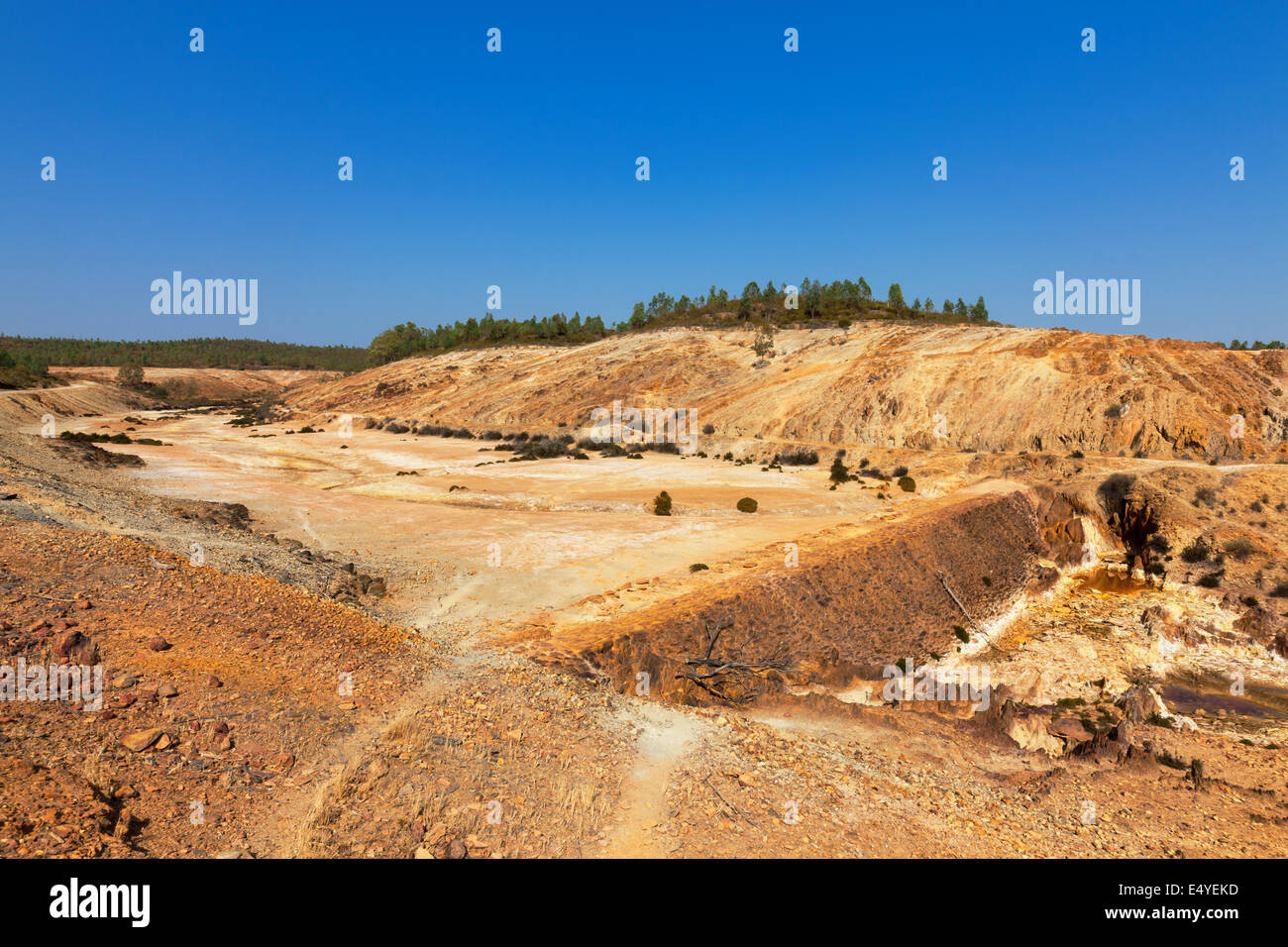 Earth dam wall with an empty dam Stock Photo Alamy
