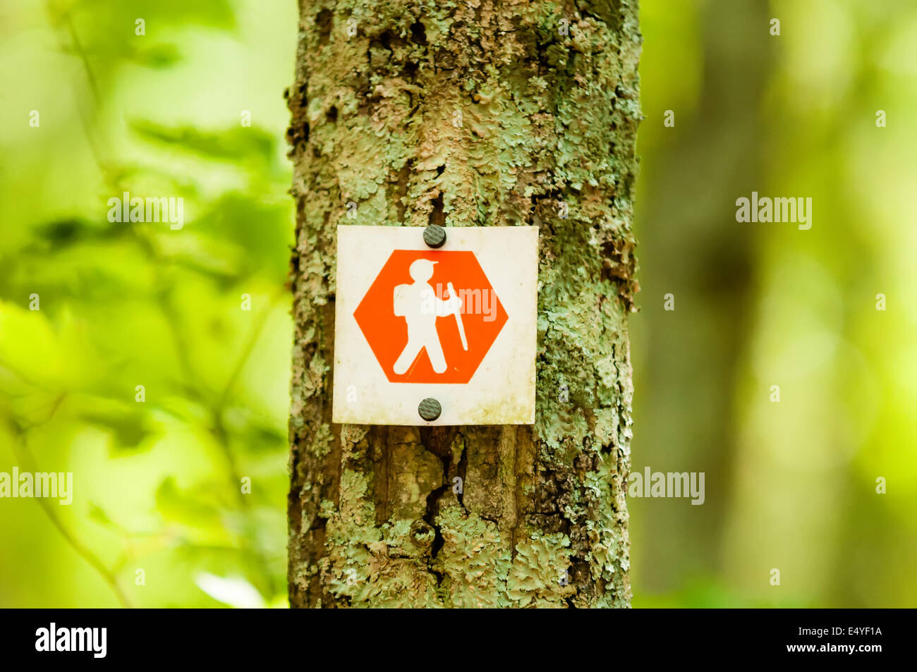 orange hiking trail sign Stock Photo Alamy
