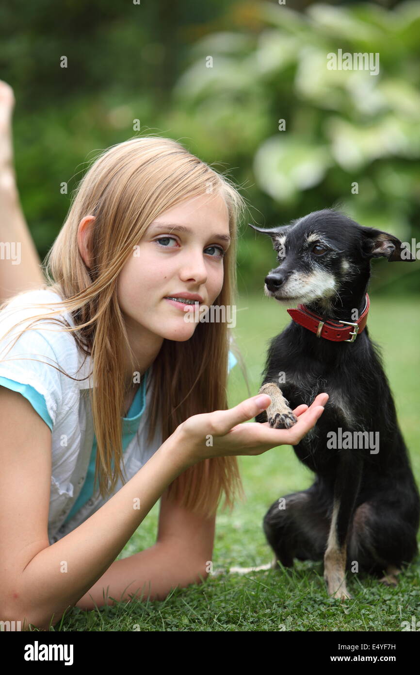 Loving little dog and owner Stock Photo
