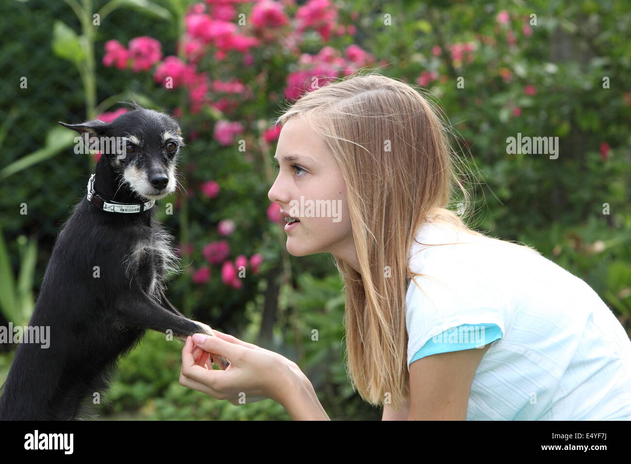 Young girl with her little dog Stock Photo - Alamy