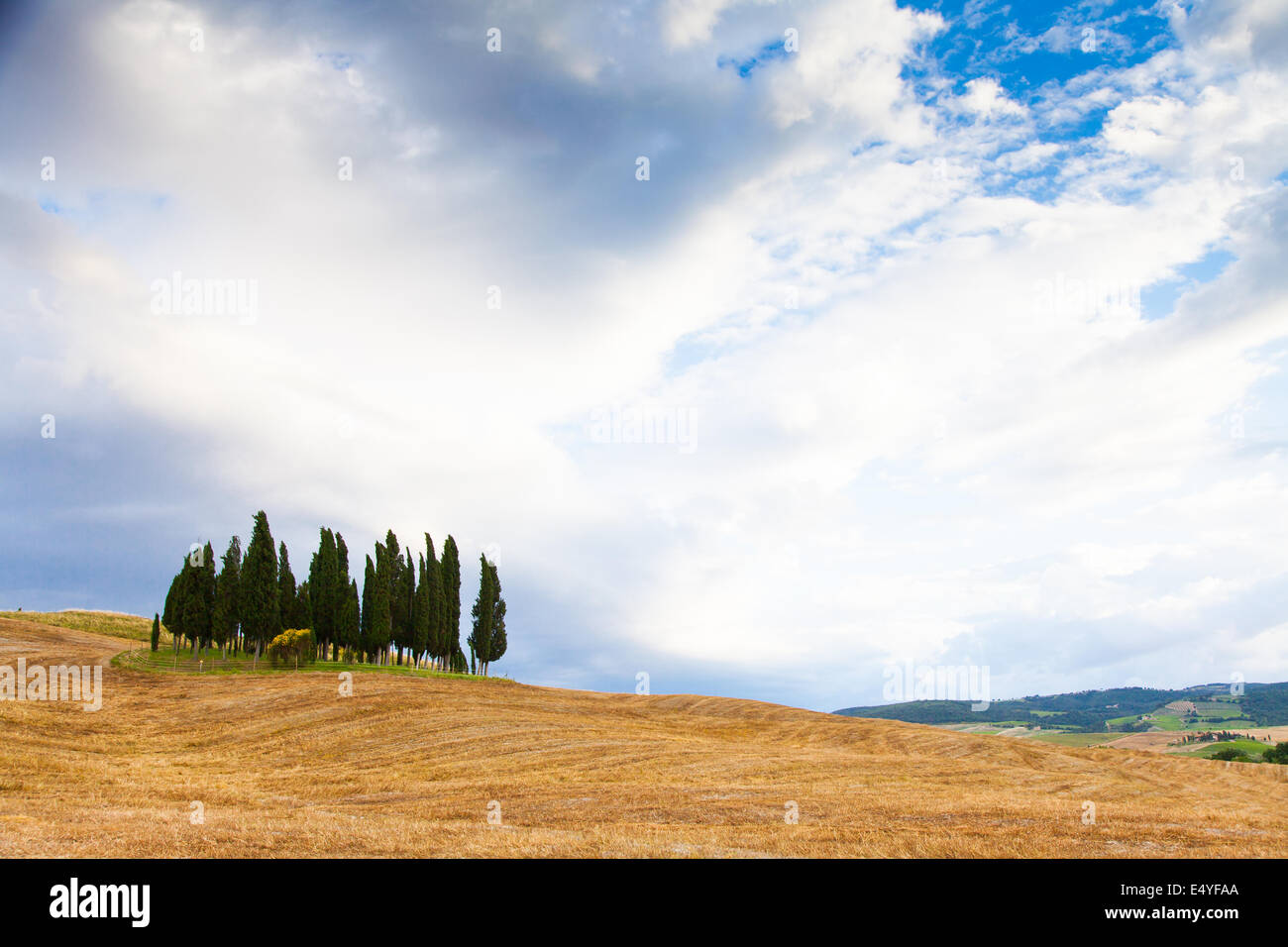Tuscany before the storm Stock Photo - Alamy