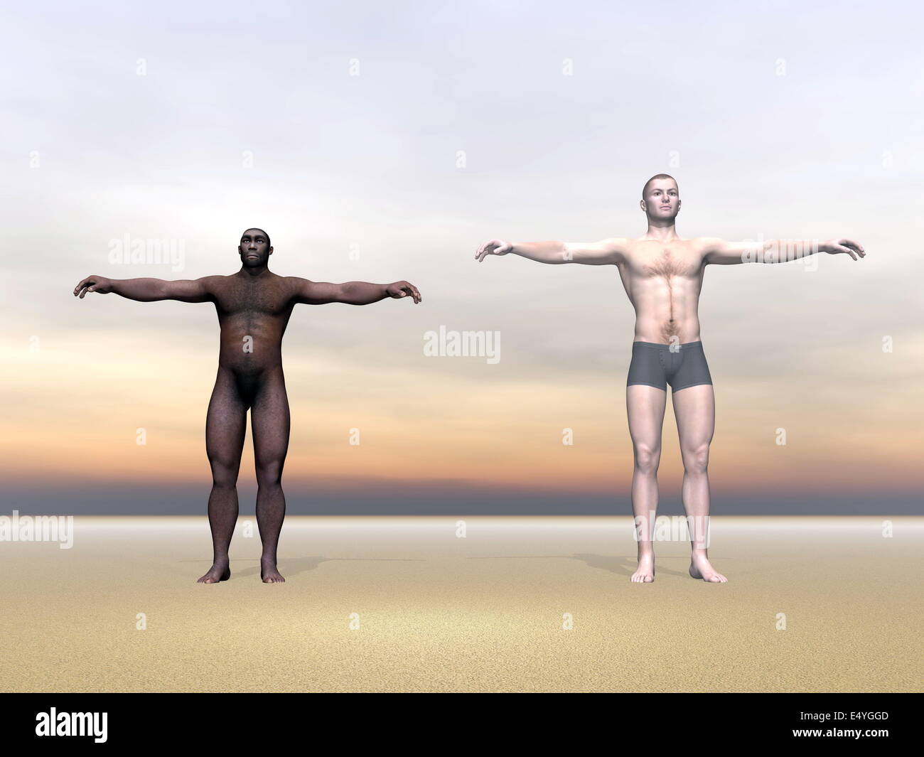Modern human and homo erectus - 3D render Stock Photo