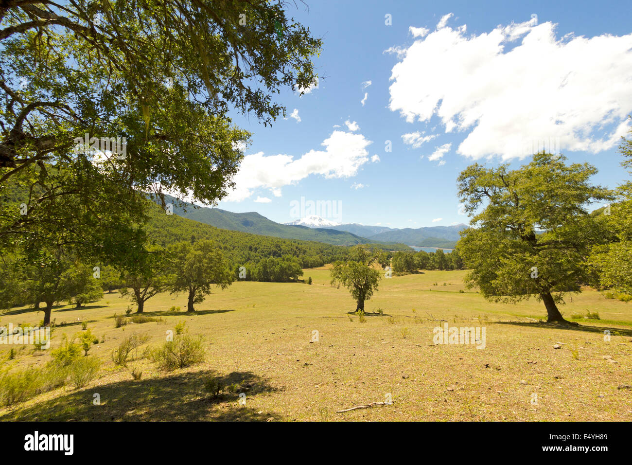 Nalcas National Park, Chile. The Bio Bio river, and in the background snowy volcano Lonquimay Stock Photo