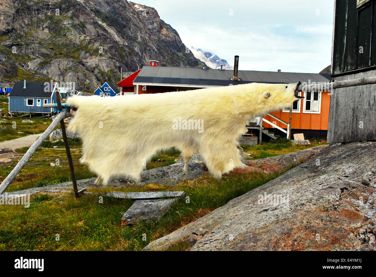 Polar bear skin jacket best sale
