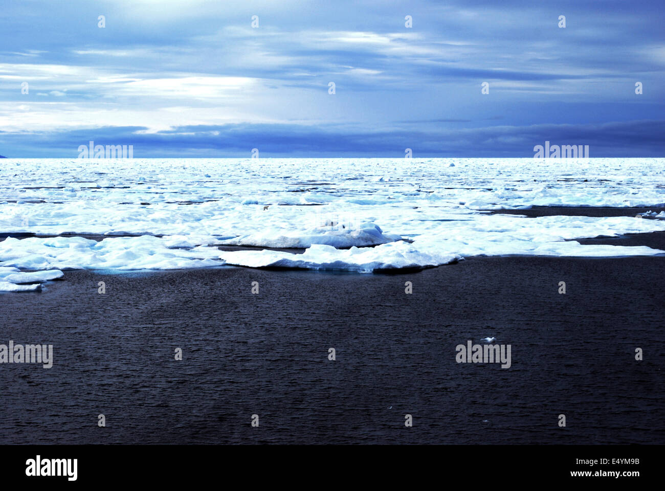 Ice Covered Cumberland Sound with Polar Bear Stock Photo