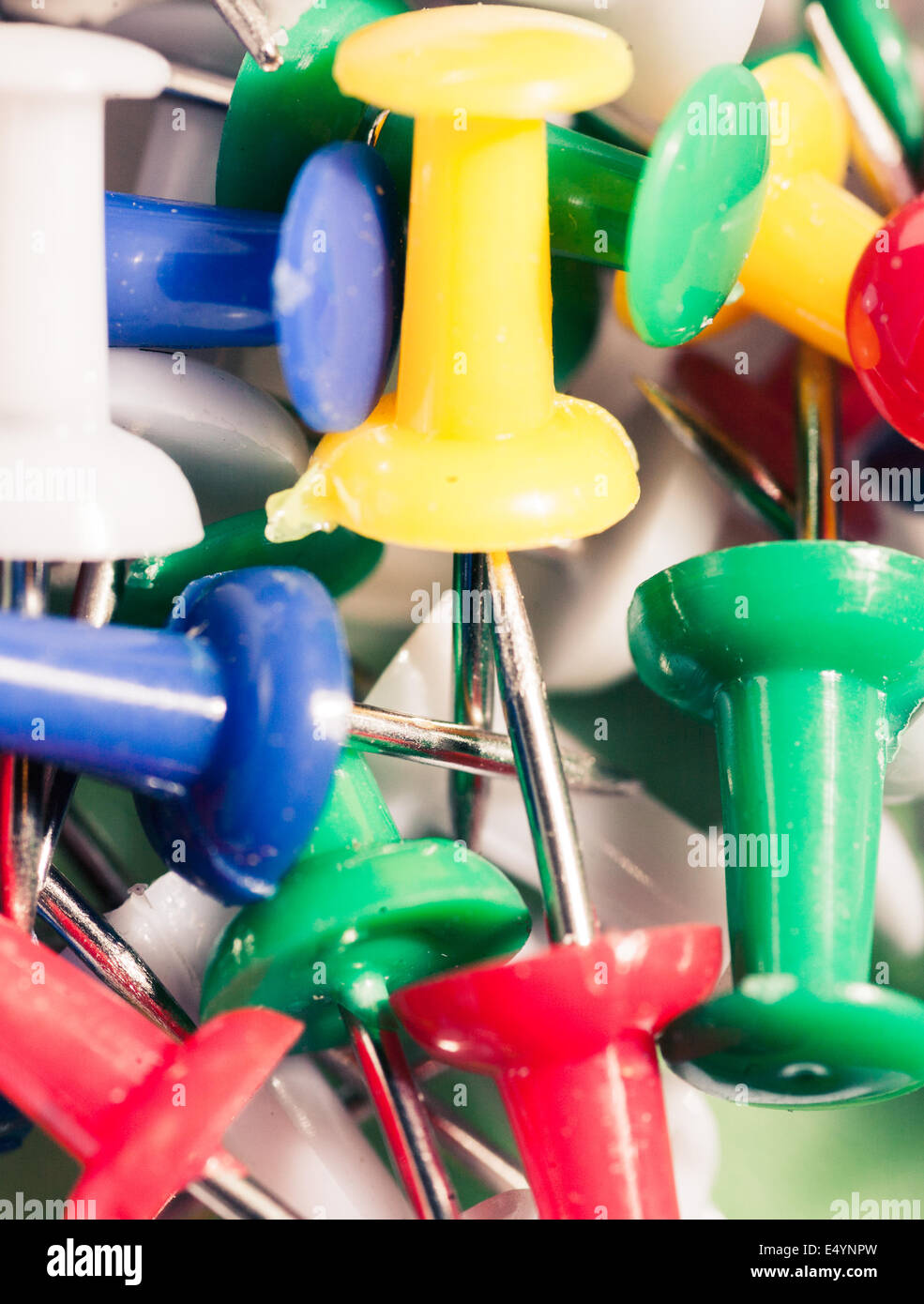 colorful push-pins Stock Photo