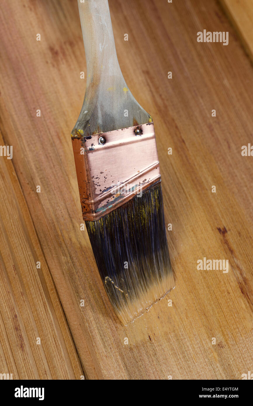 Cedar stain hires stock photography and images Alamy