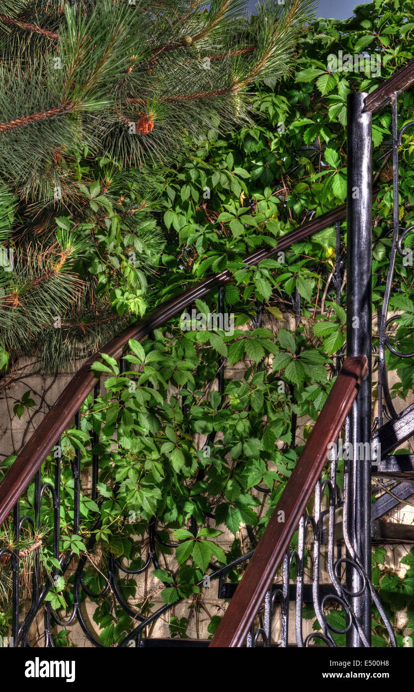 spiral wooden staircase in a green garden Stock Photo - Alamy - Spiral Staircase Ideas For Gardens