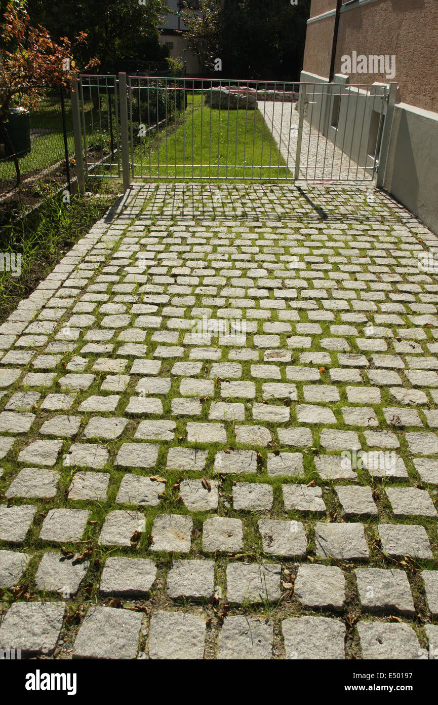 Grass seed hires stock photography and images Alamy