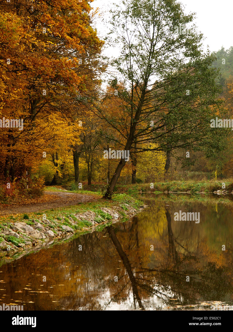 autumn pond Stock Photo