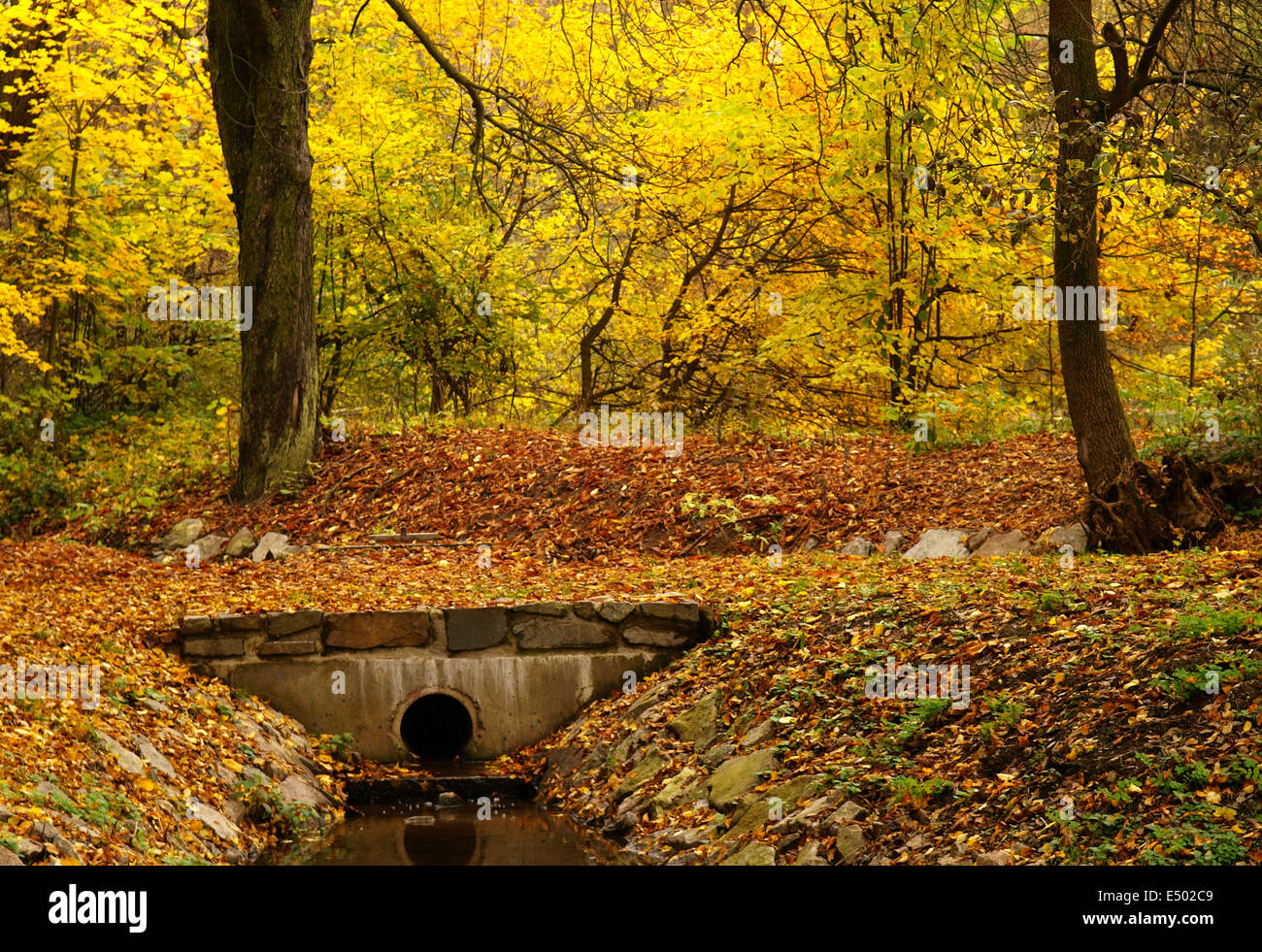 autumn mood Stock Photo