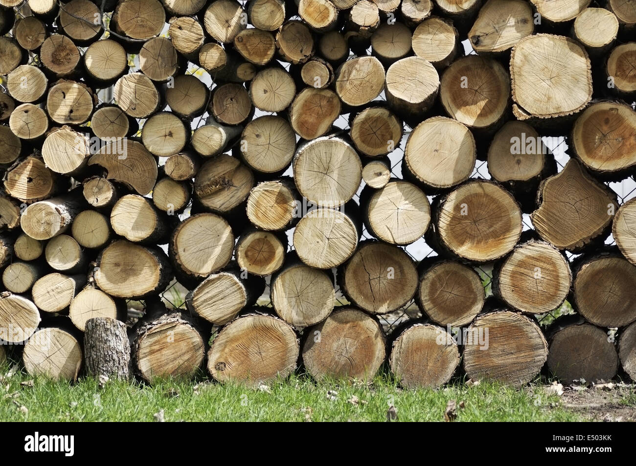 Cut Wood Logs Stock Photo