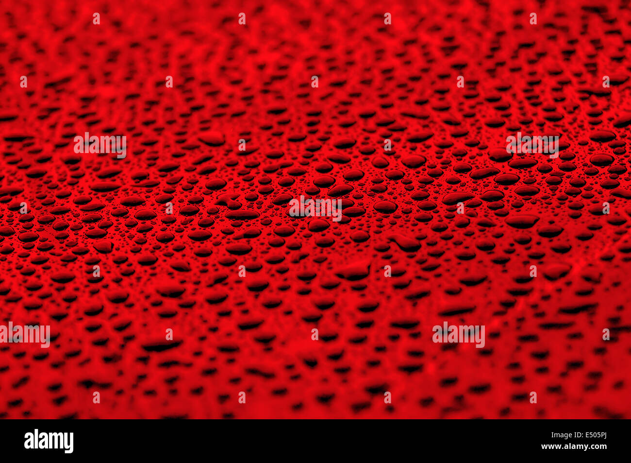 red water drops on water-repellent surface Stock Photo