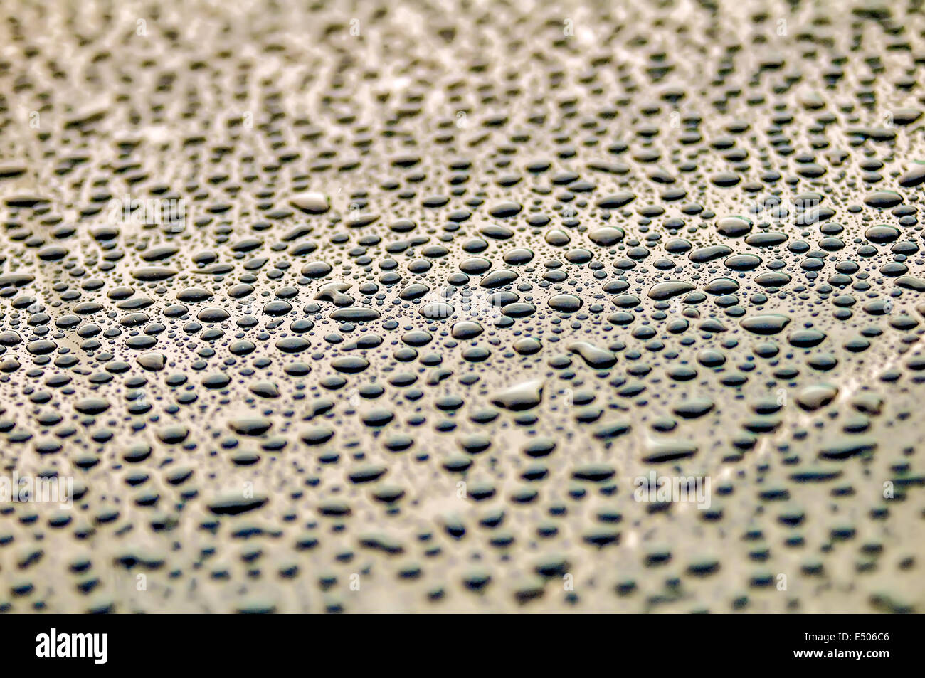 drops on water-repellent surface Stock Photo