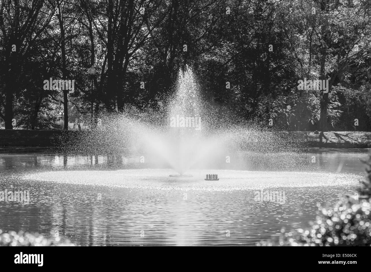 Pond Black and White Stock Photos & Images - Alamy