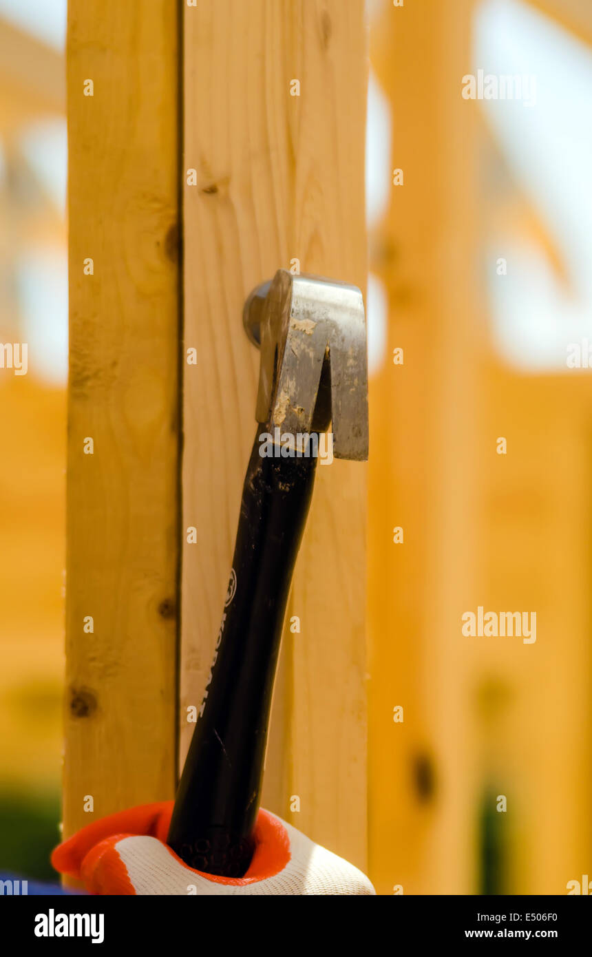 worker hammering nails to wood studs Stock Photo Alamy