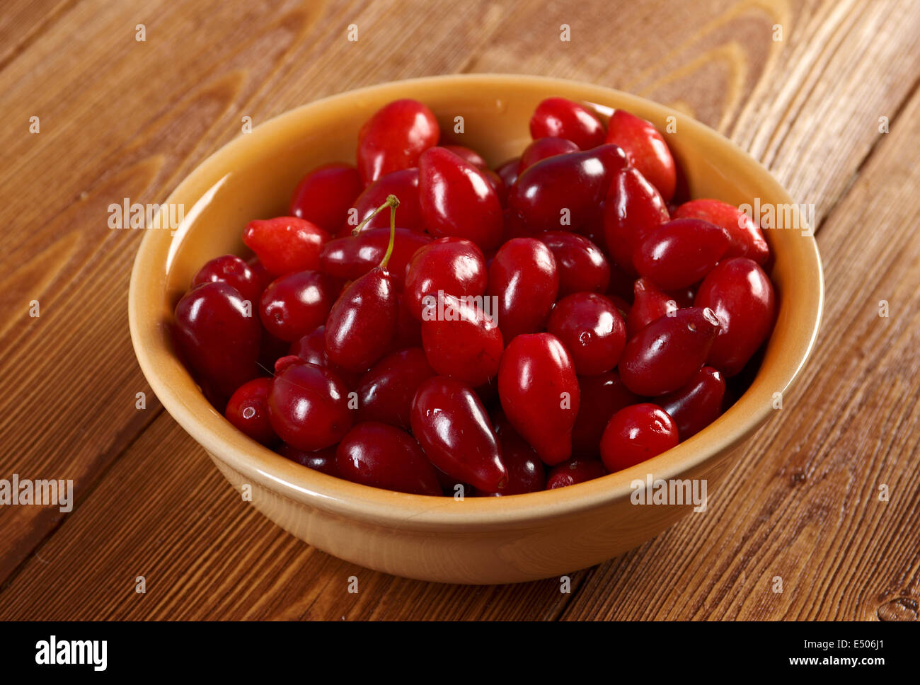 Кизил костя. Кизил из косточки. Кизил обыкновенный косточка. Кизил замороженный. Кизил обыкновенный косточка.