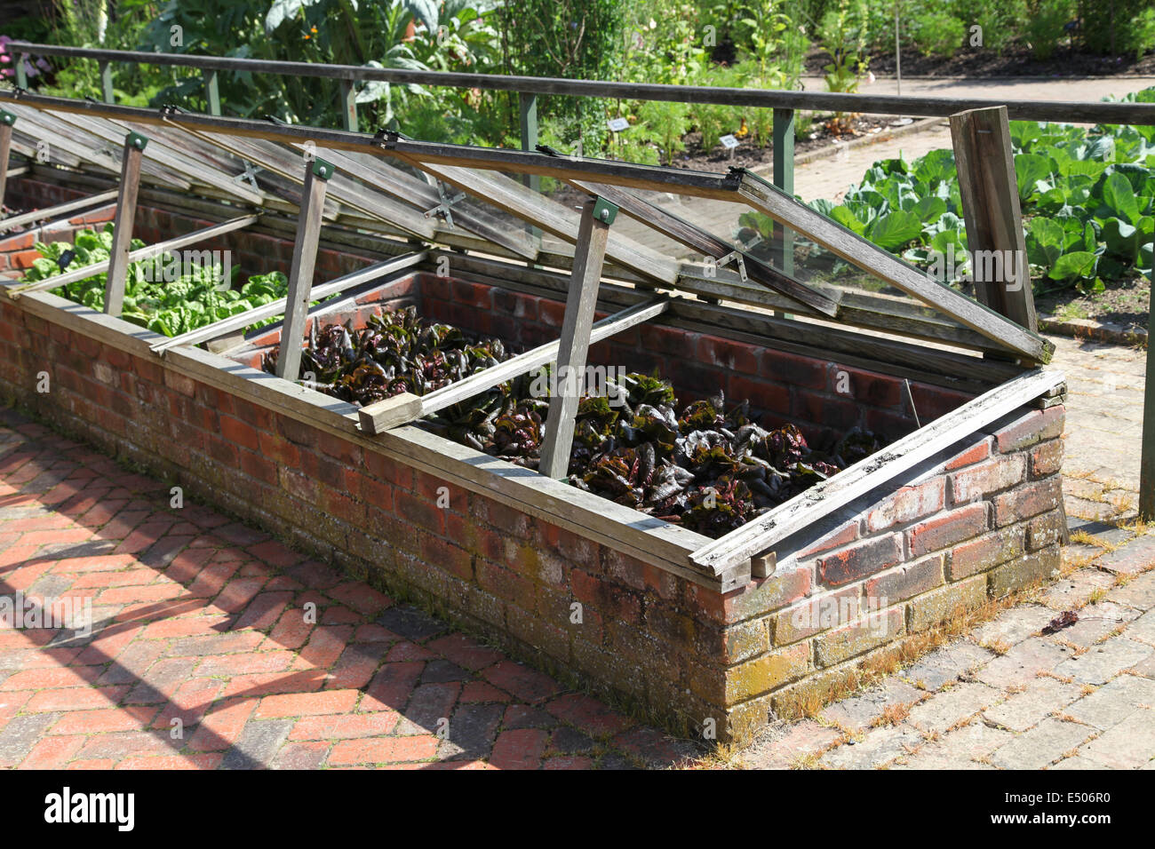 Cold frames hires stock photography and images Alamy