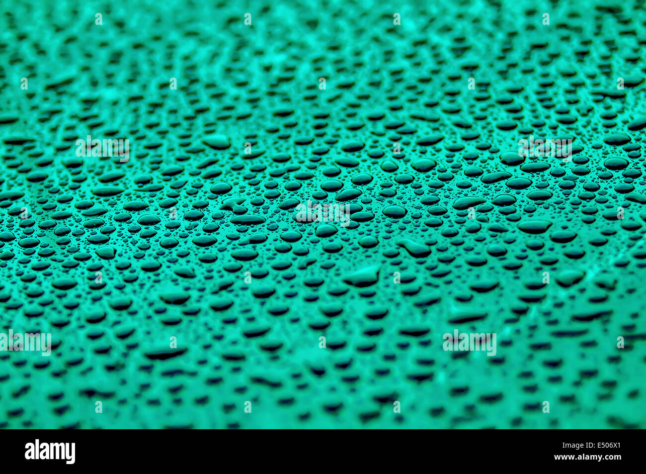 cyan drops on water-repellent surface Stock Photo