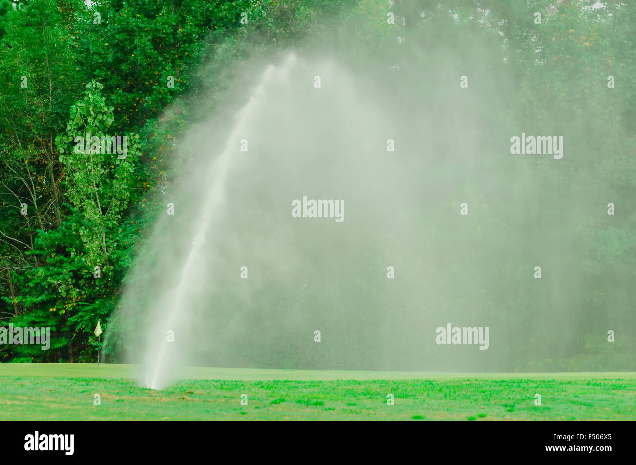 watering green grass lawn on golf course Stock Photo Alamy