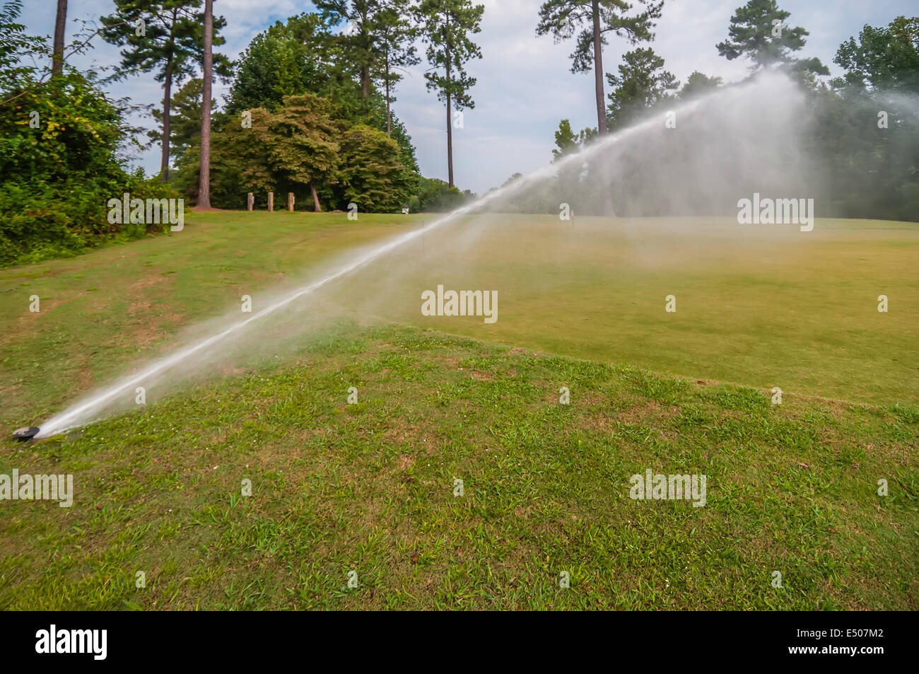 watering green grass lawn on golf course Stock Photo Alamy