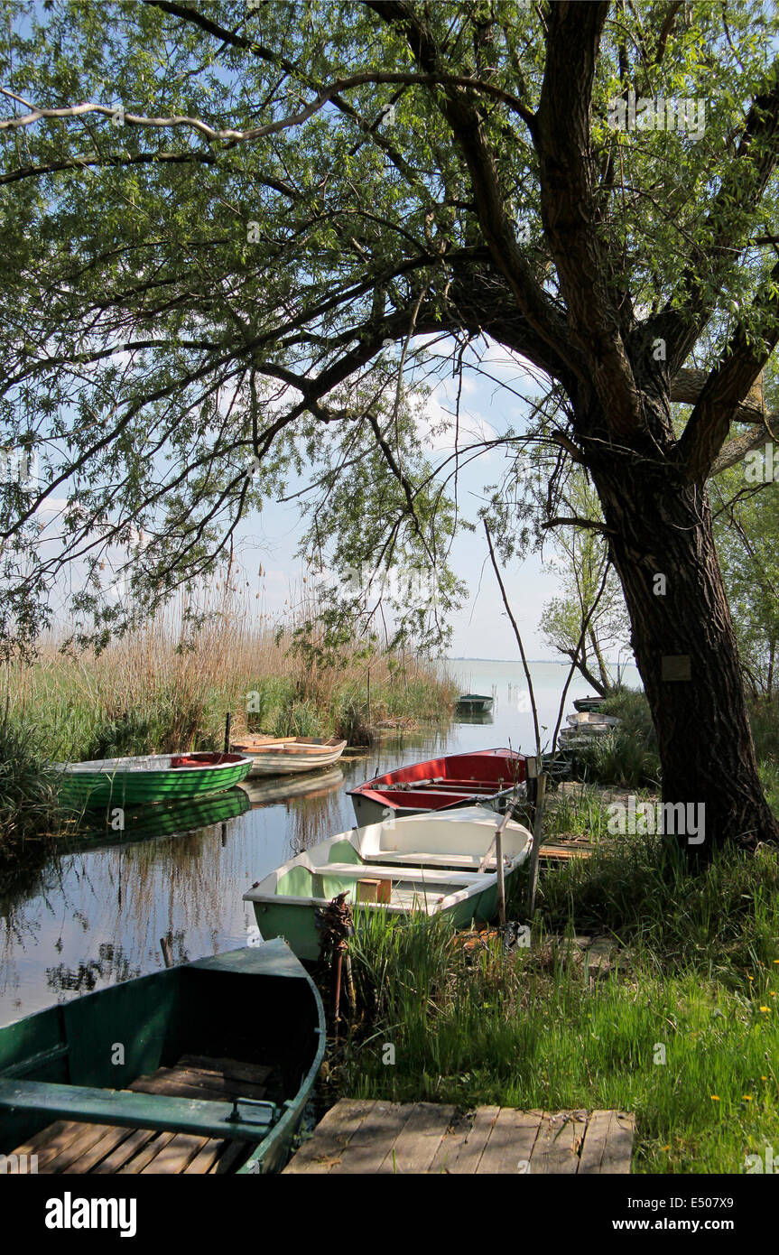 Small boats near Szigliget at Lake Balaton, Hungary Stock Photo