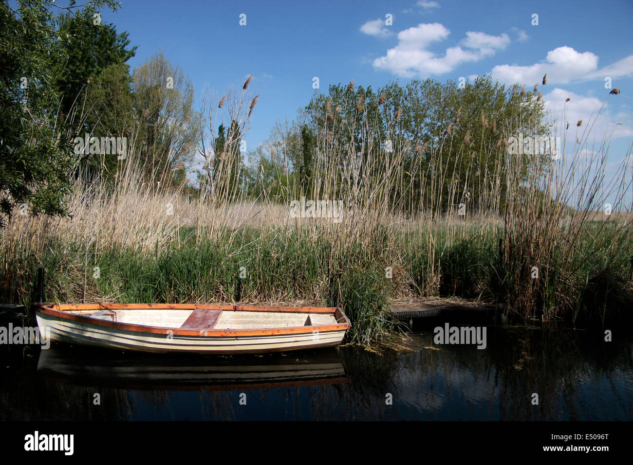 Small boats near Szigliget at Lake Balaton, Hungary Stock Photo