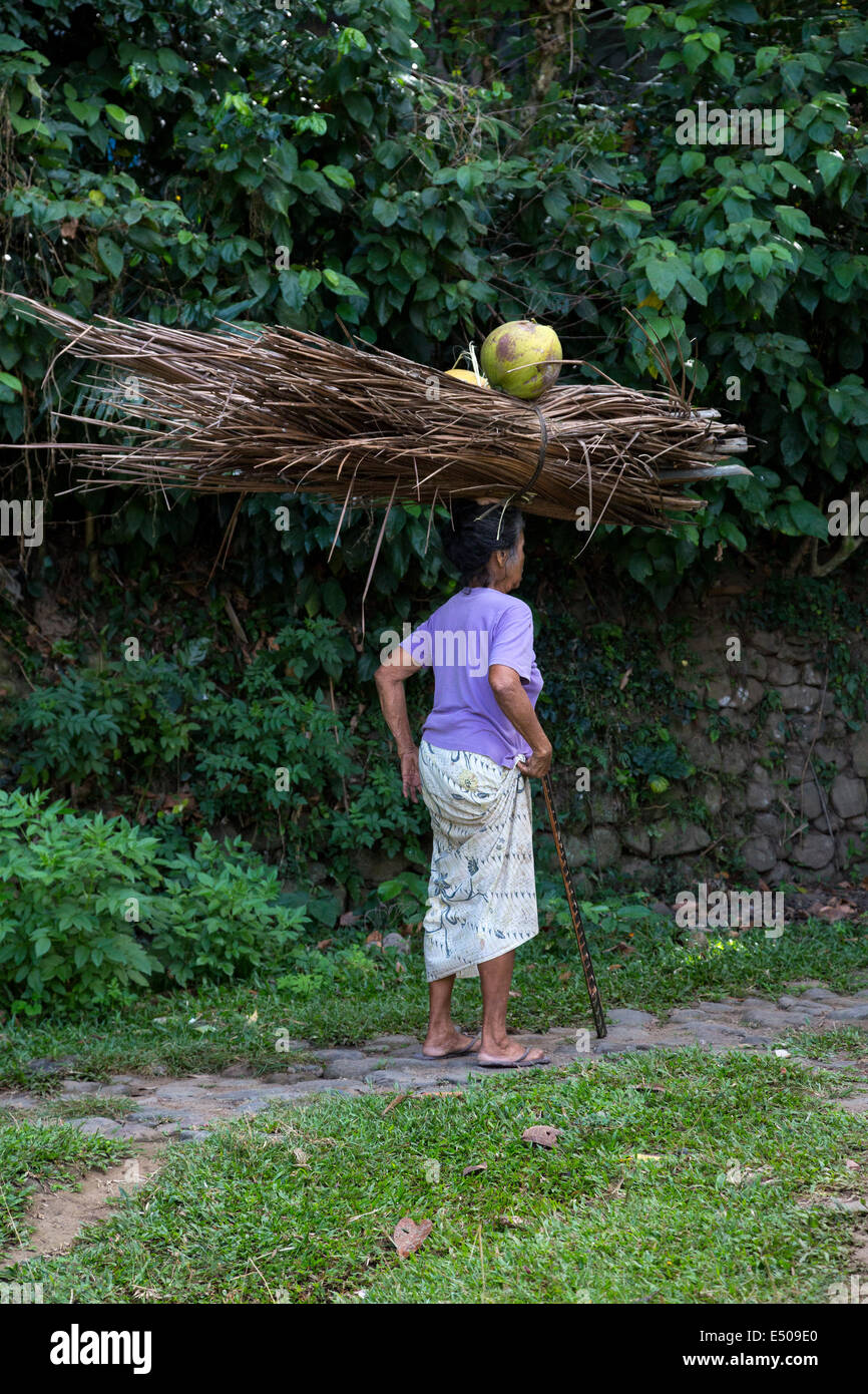 Bali, Indonesia.   Woman Carrying Palm Fronds and Coconuts on her Head.  Tenganan Village. Stock Photo