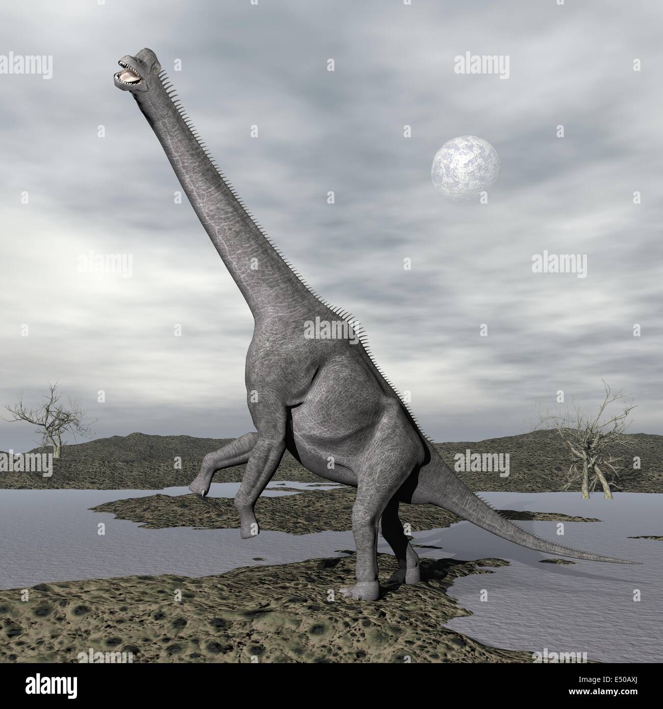 Imagem Realista Do Dinossauro: Brachiosaurus Retrata Imagem