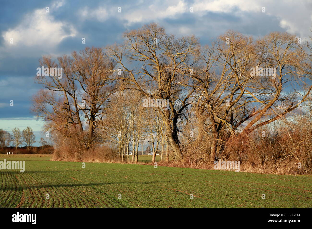 Erde sonne hi-res stock photography and images - Alamy