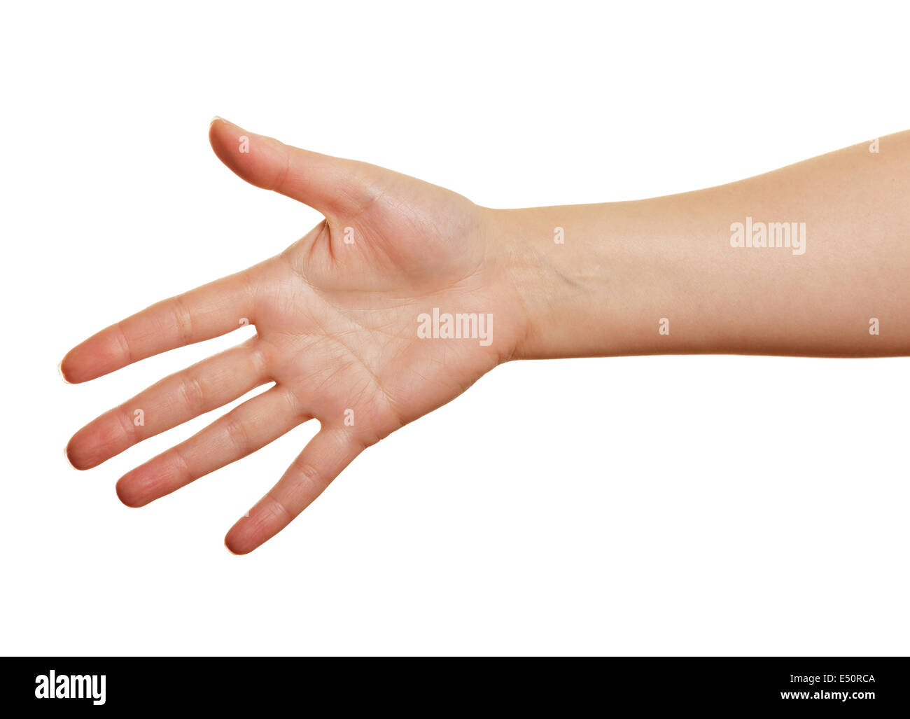 woman's  open palm on a white background Stock Photo