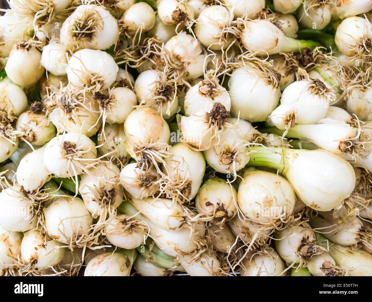 Bunches of young onions on market stall Stock Photo - Alamy