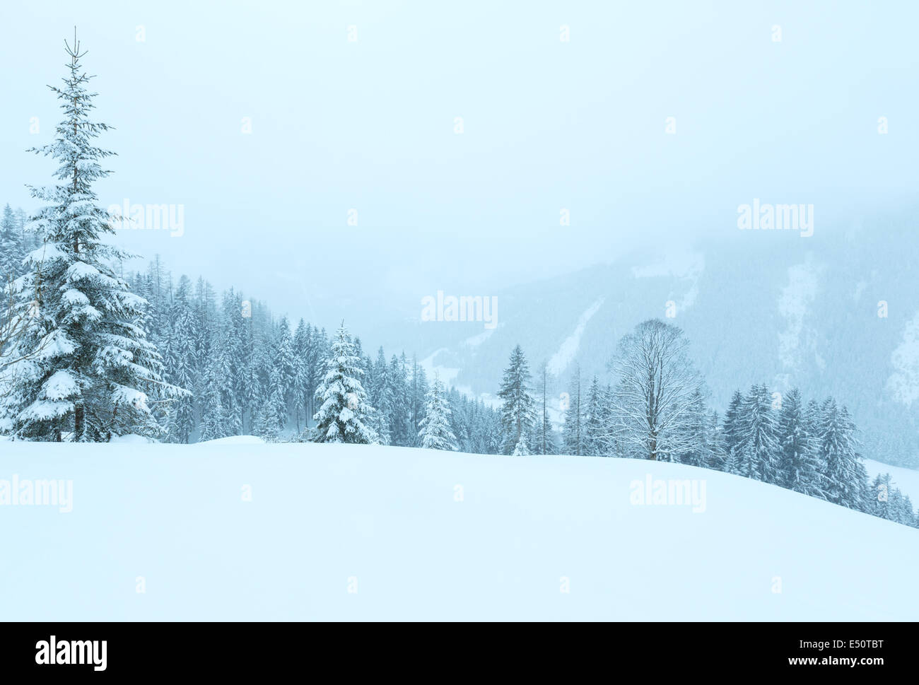 Winter mountain misty landscape Stock Photo - Alamy