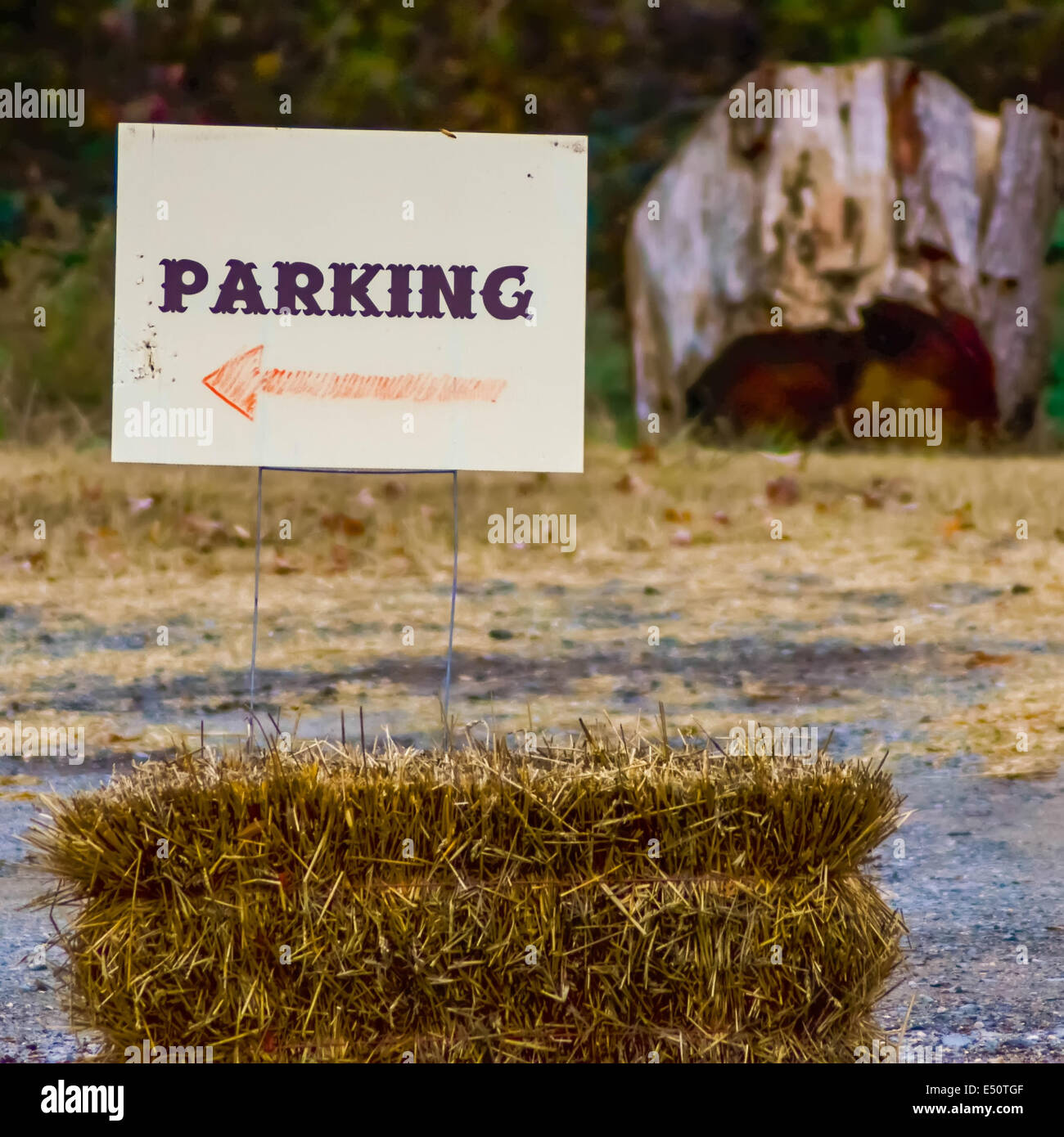 parking direction sign on the farm Stock Photo - Alamy