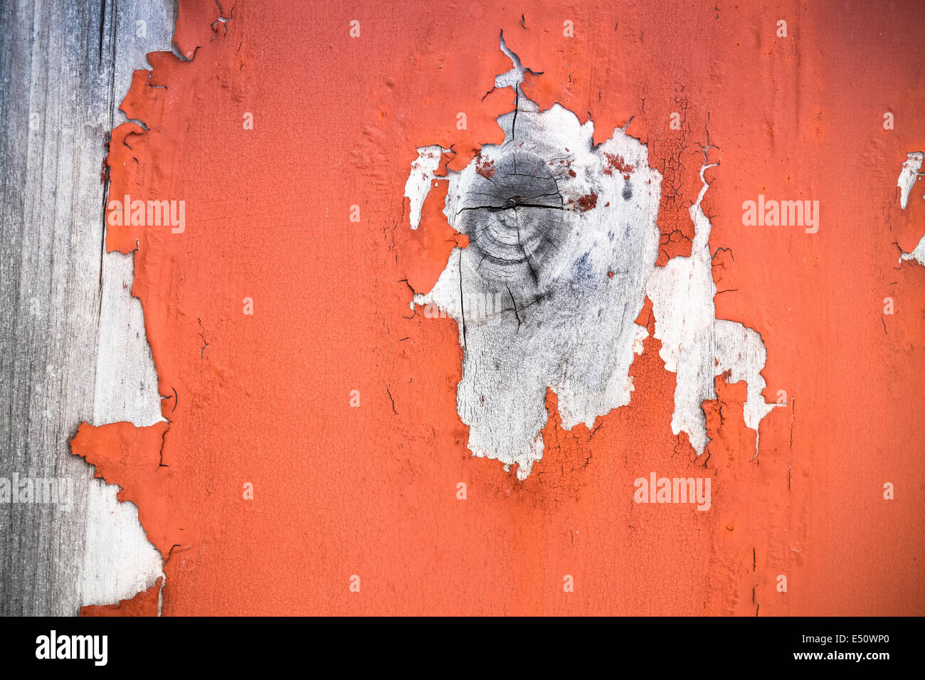 wood knot with peeling paint Stock Photo Alamy