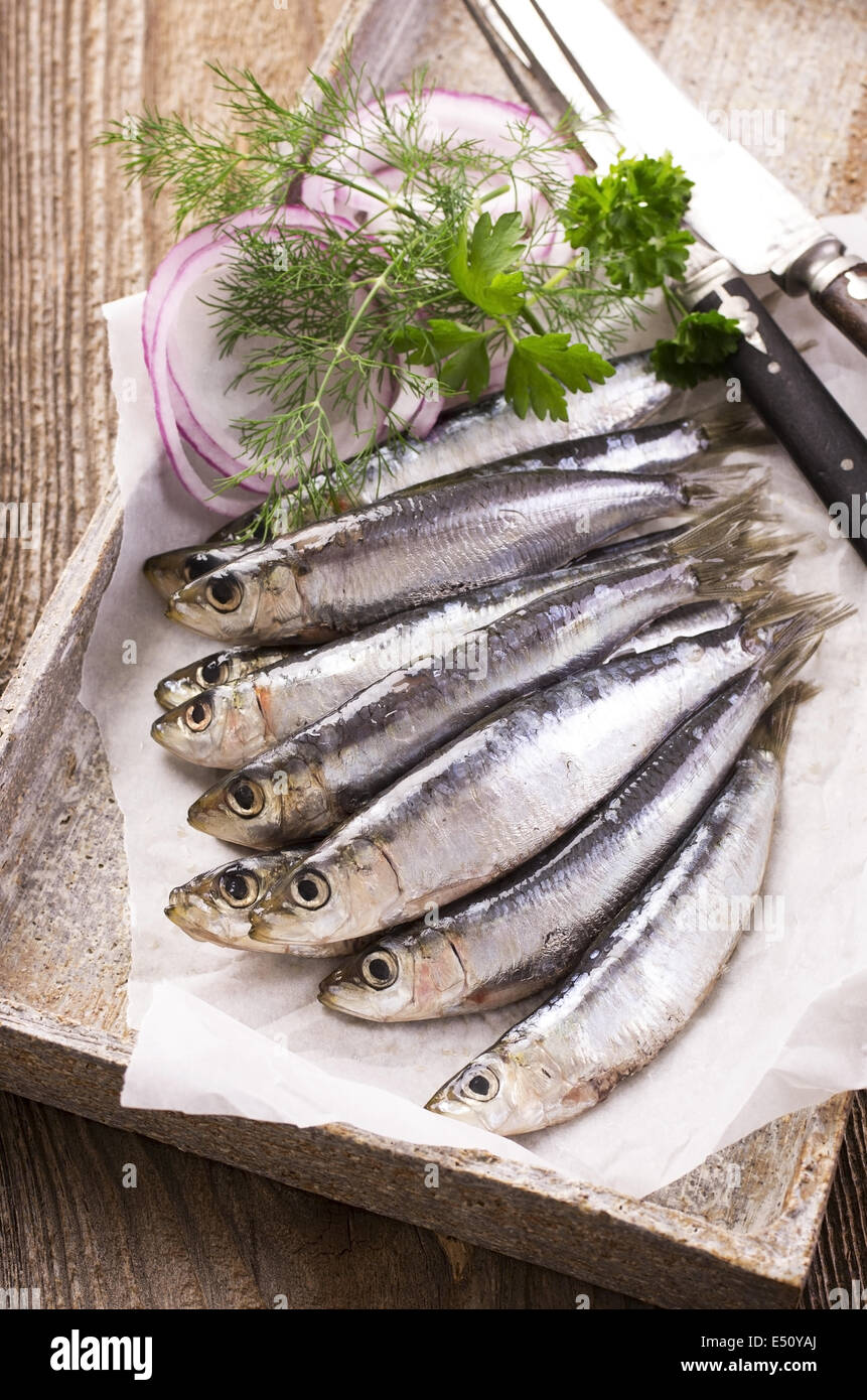 anchovis Stock Photo Alamy