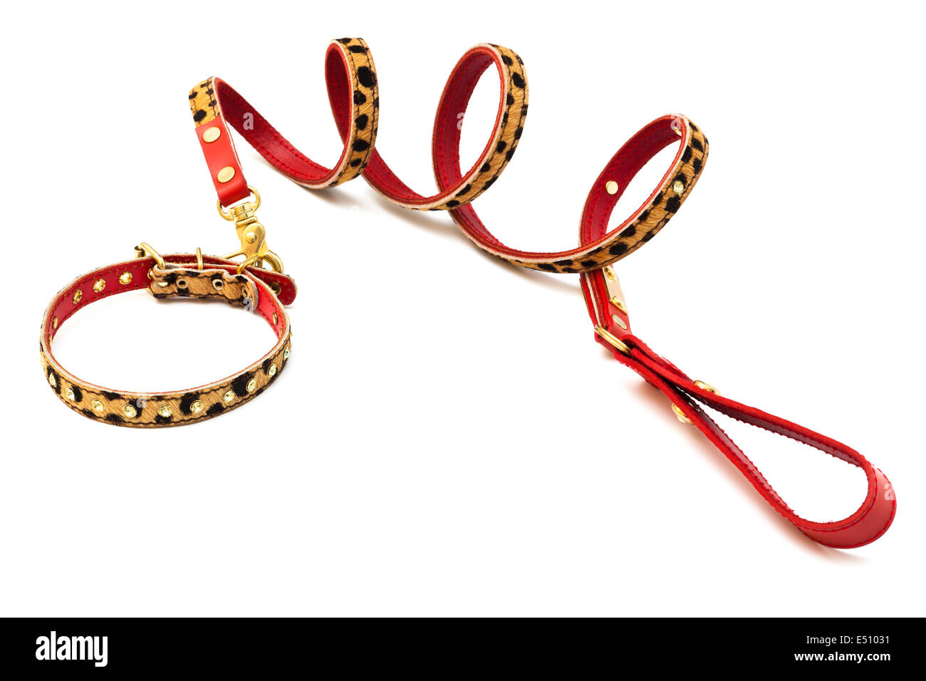 leash and collar Stock Photo Alamy