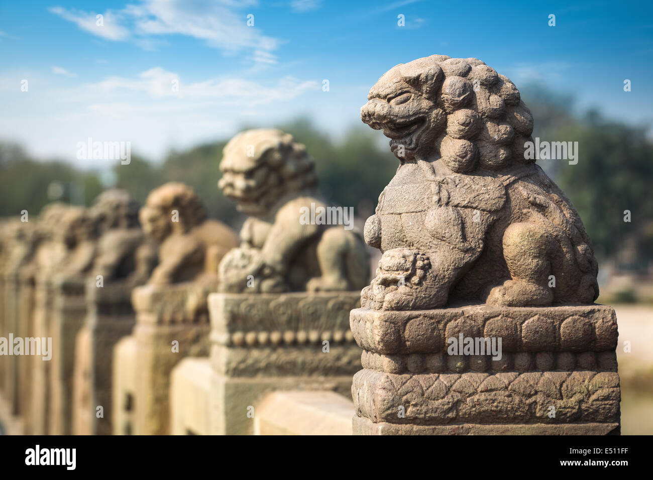 ancient stone lion closeup Stock Photo