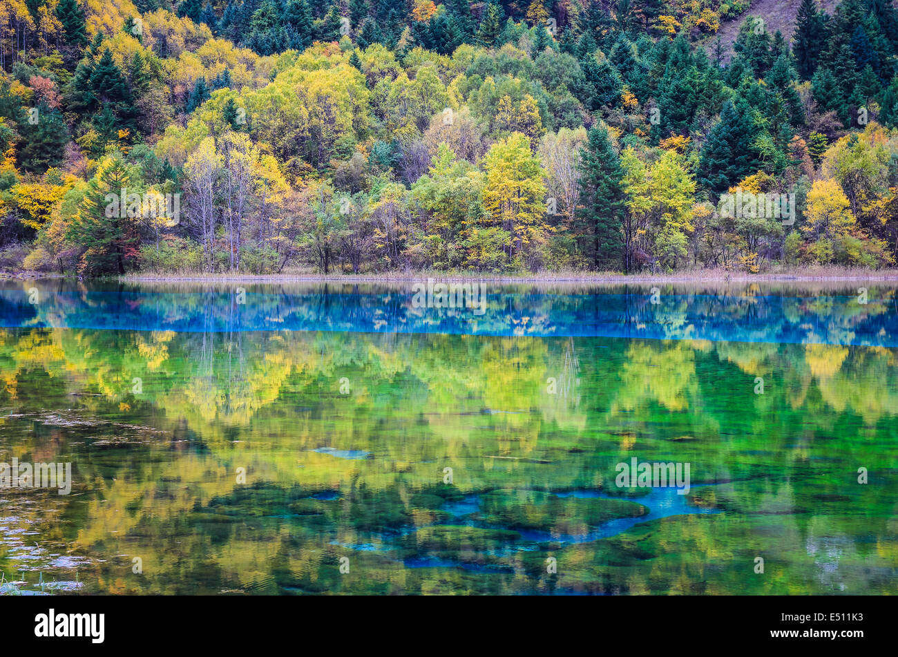 beautiful lake in autumn Stock Photo