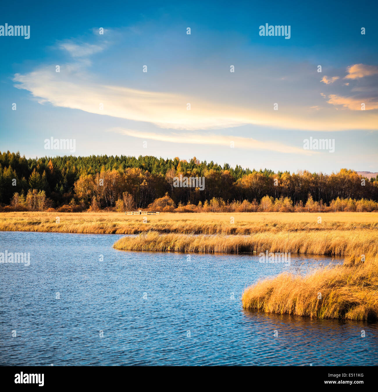 wetland park in autumn Stock Photo