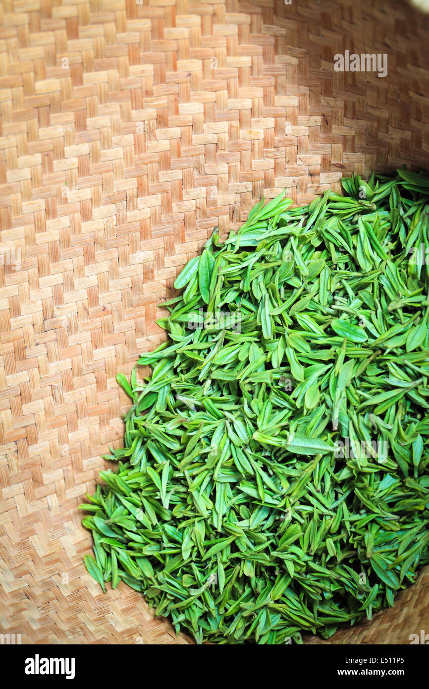 fresh green tea closeup Stock Photo