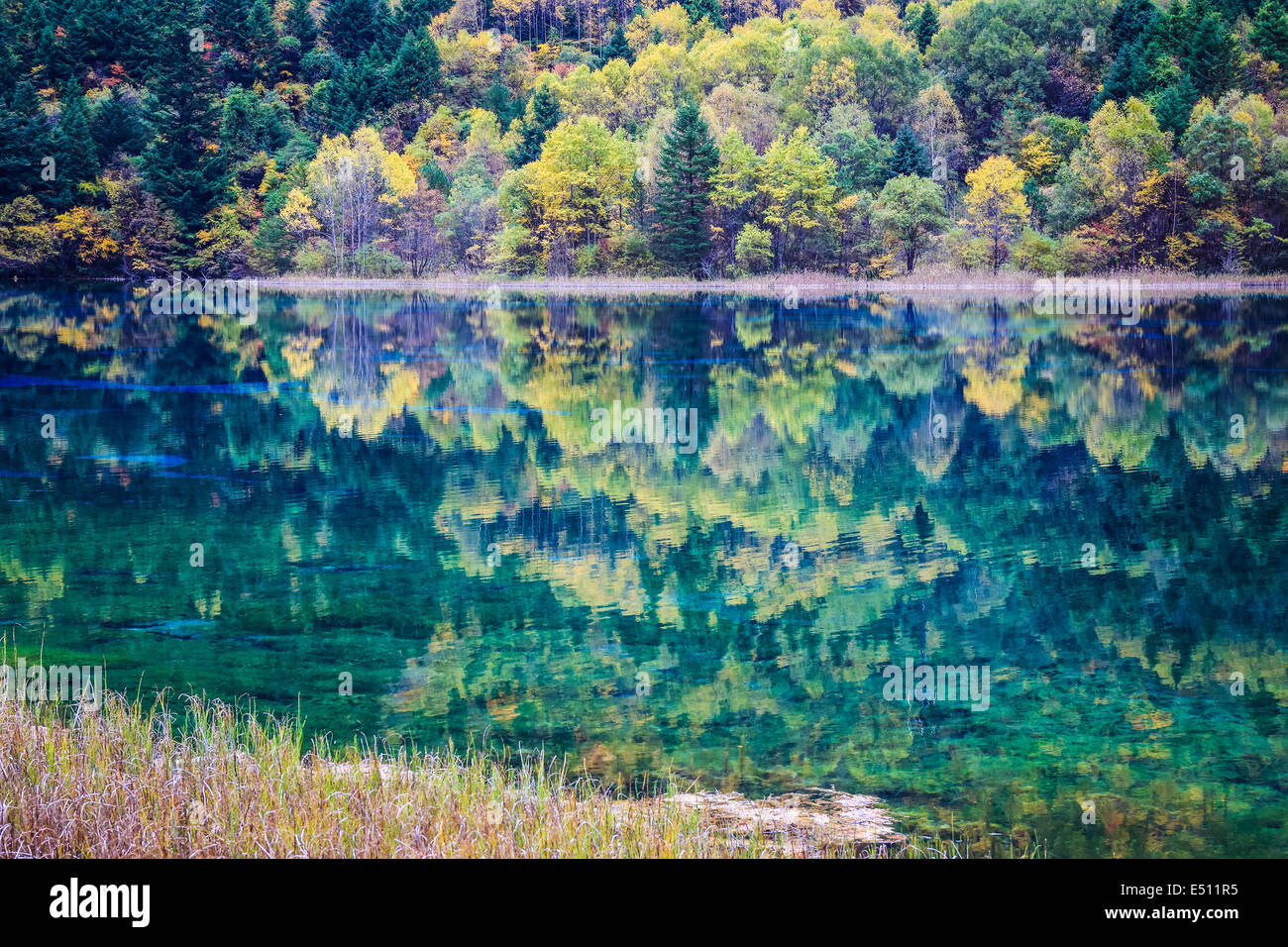 tranquil lake in autumn Stock Photo