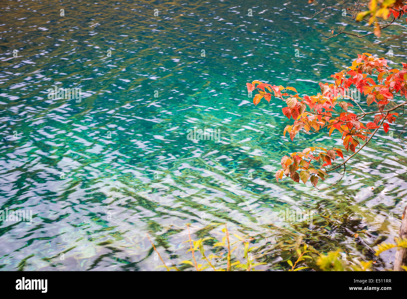 autumn lake background Stock Photo