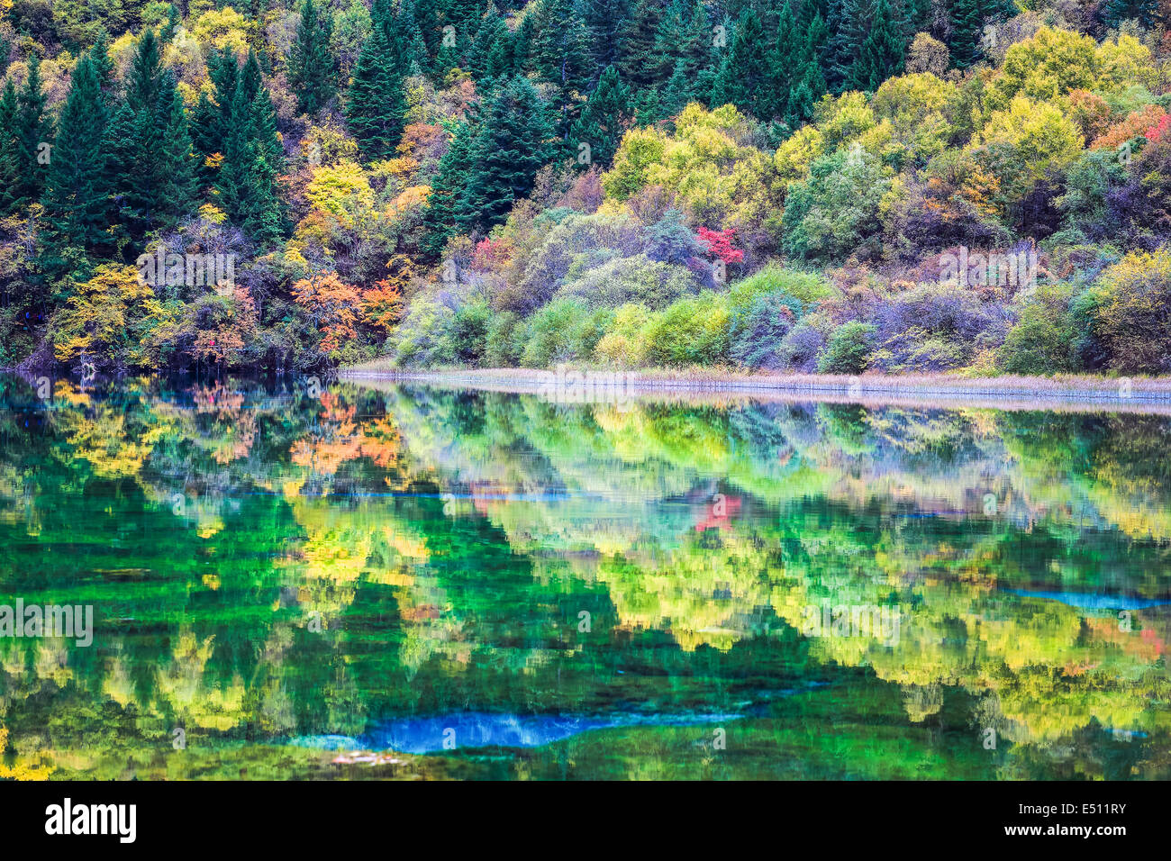 autumn color reflection in the blue lake Stock Photo