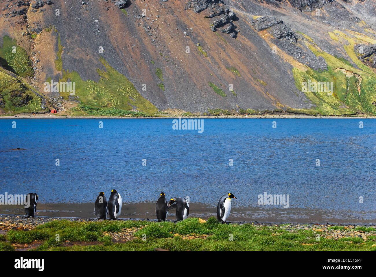 Whalers Base Grytviken, South Georgia Stock Photo