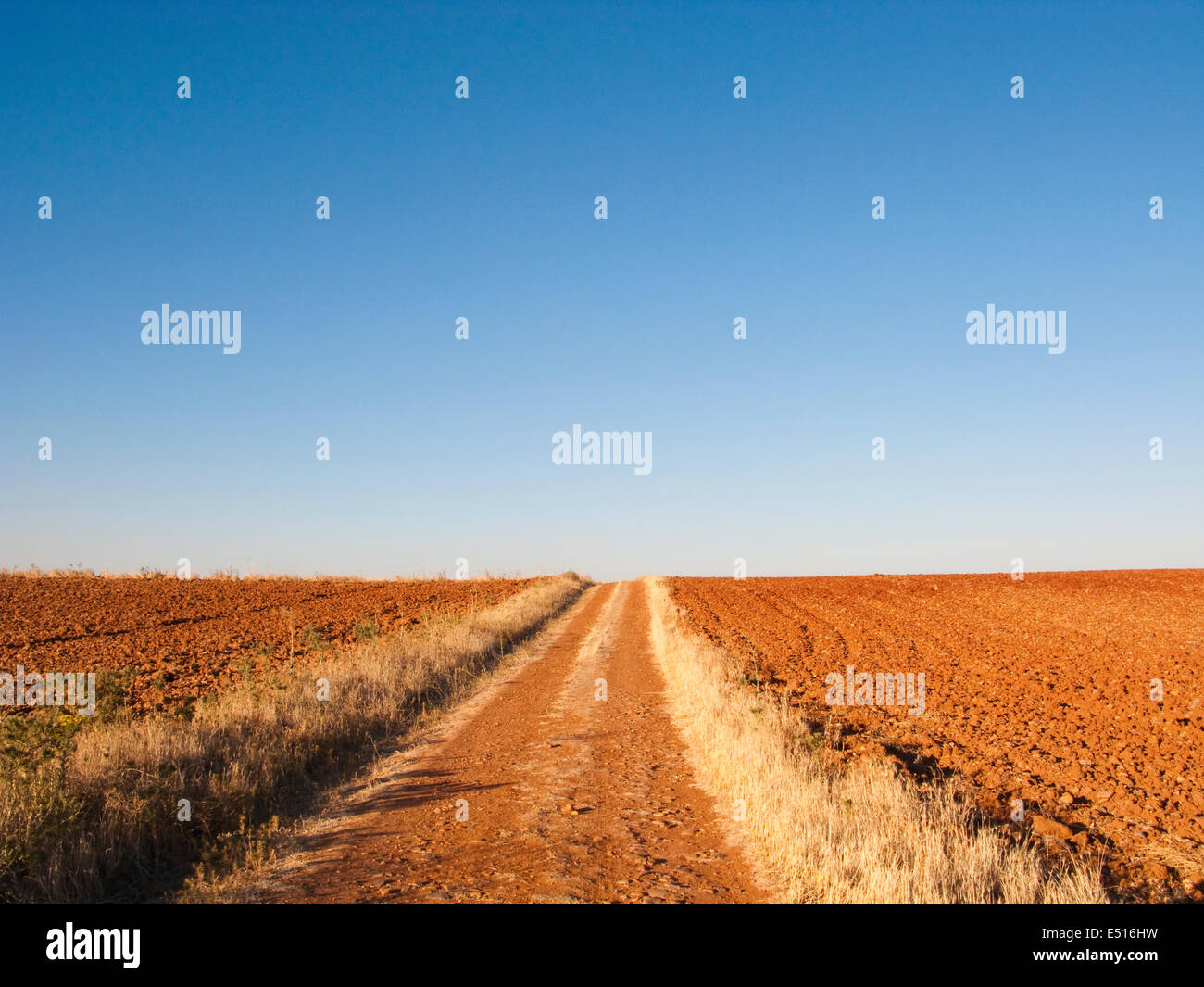 Picture of a summer landscape with great sun and blue sky Stock Photo ...
